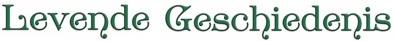 logo heijdel site